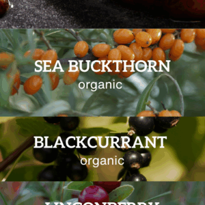 Wholesale Welcome Bundle